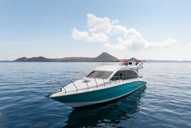 One Day Sharing Trip with Speedboat Siena