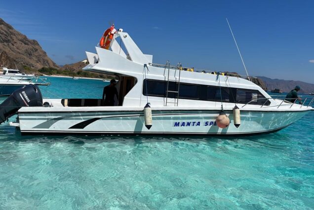 One Day Sharing Trip with Speedboat (Small)