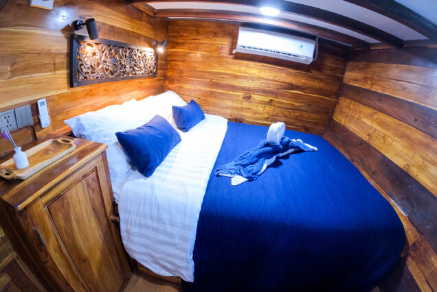 Wave/Coral/Lagon Room