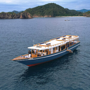 One Day Sharing Trip with Open Deck Orca